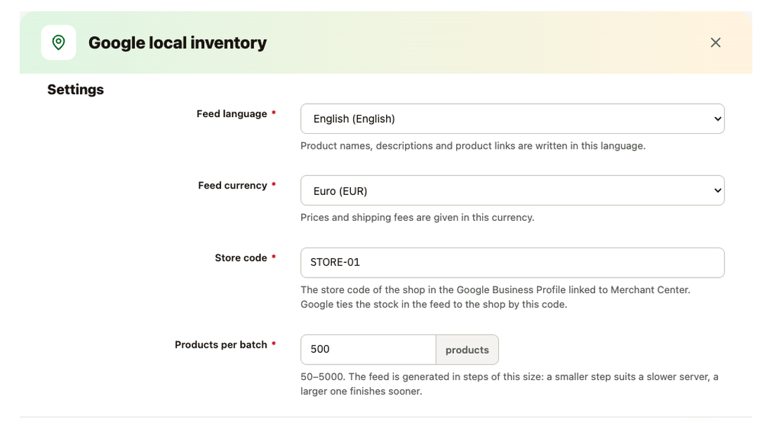 Settings of the Google local inventory feed: feed language, currency and store code